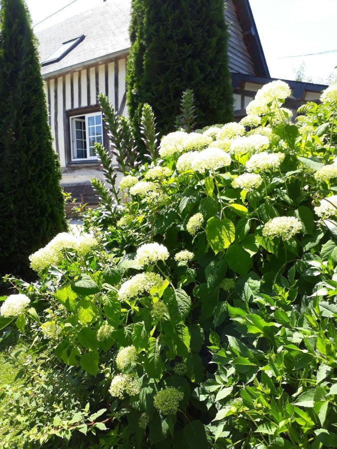 Gîte 'les matins calmes ' Cheffreville-Tonnencourt Exterior foto